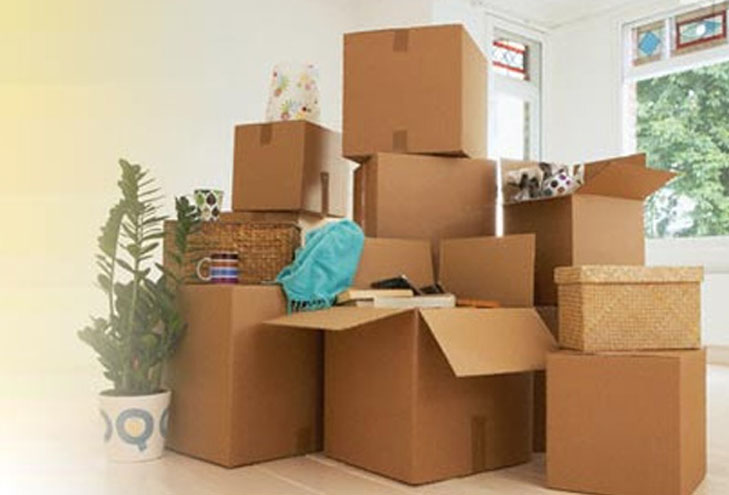 Domestic Relocation